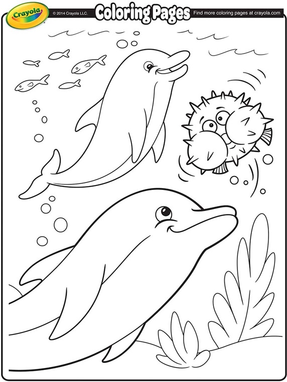 Dolphins Coloring Page